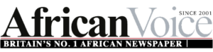 African Newspaper Logo